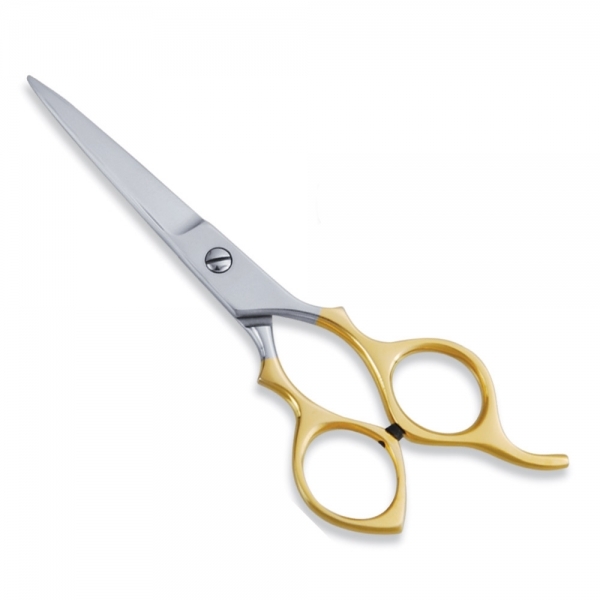 Economy Scissor